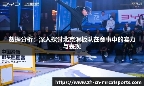 猫先生体育平台