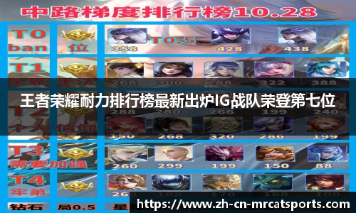 猫先生体育官方网站