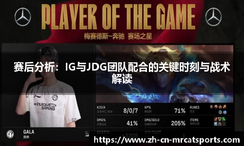 猫先生体育官方网站