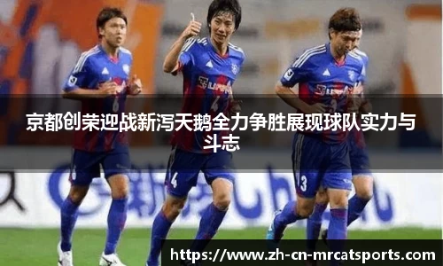 猫先生体育平台